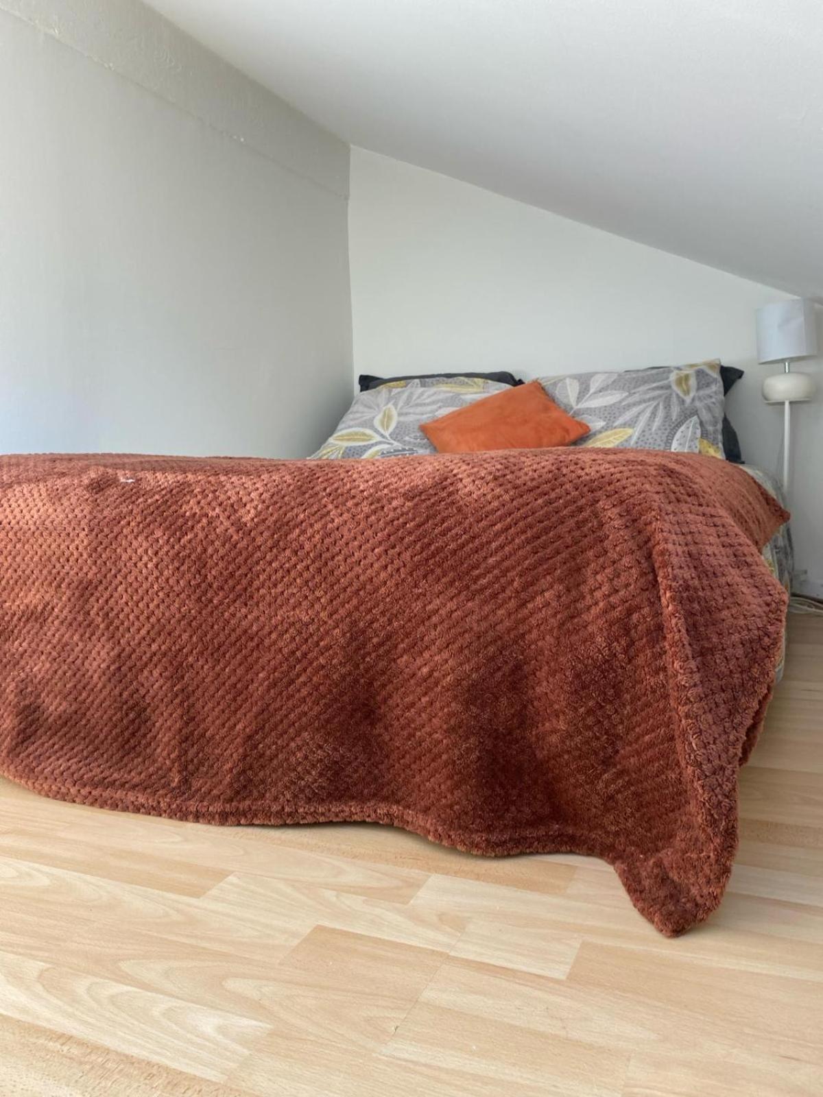 Petit Nid Cosy - Proche Des Ecoles Et Entreprises Apartment Orsay Exterior foto